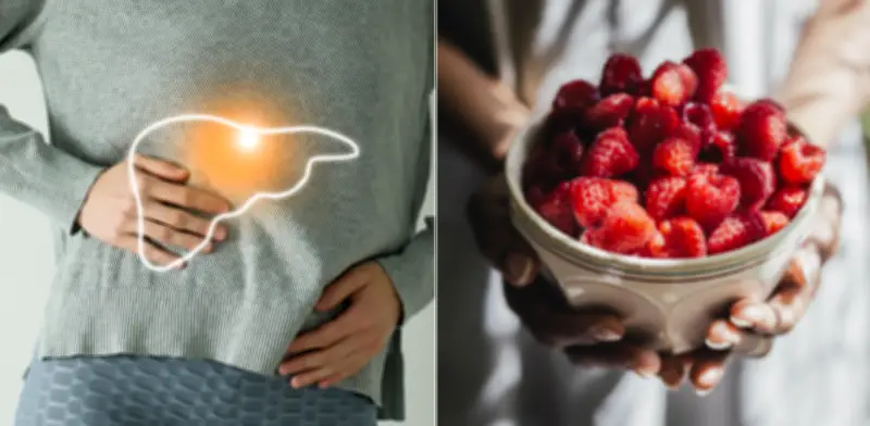 Frambuesa: la fruta esencial para combatir el hígado graso y mejorar la salud hepática