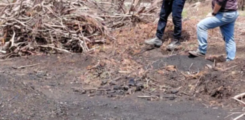 Frenan tala ilegal en Soacha: hallan madera lista para carbón vegetal