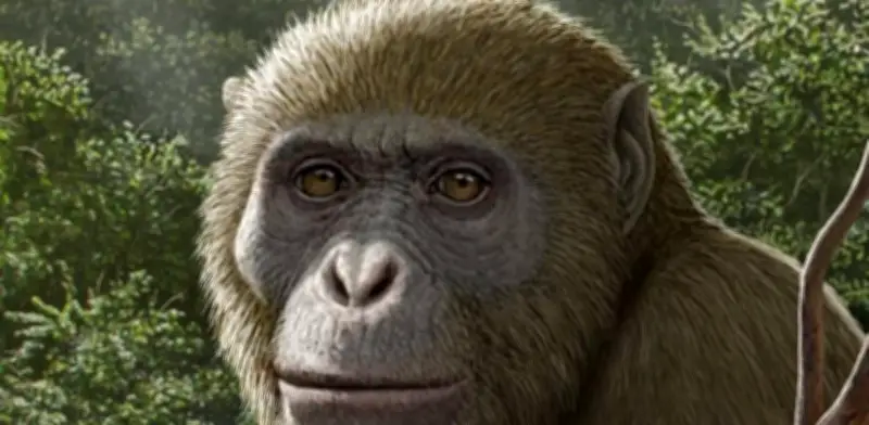 Fósil de nueva especie en Egipto cambia teoría sobre origen de simios modernos