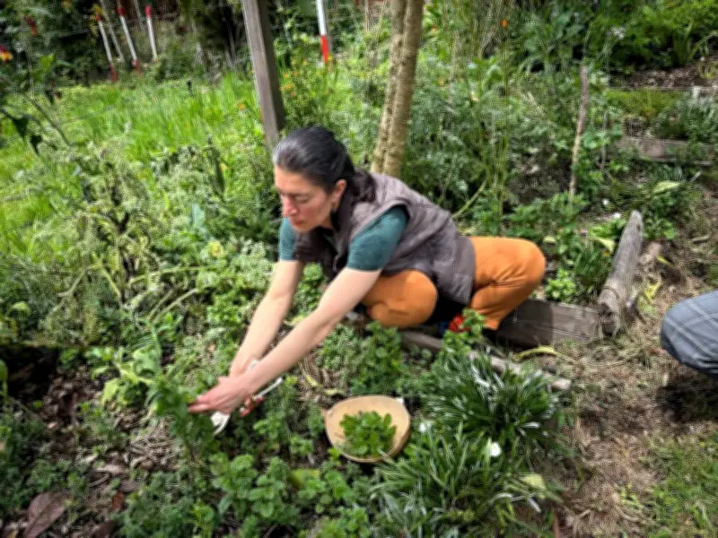 Fundación Bancolombia lanza 'En-Campo 2026' para impulsar startups rurales