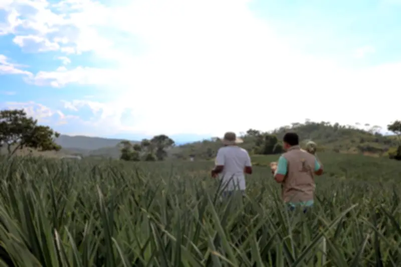 Gobierno confirma cronograma de mesas regionales sobre Catastro Multipropósito tras acuerdo campesino