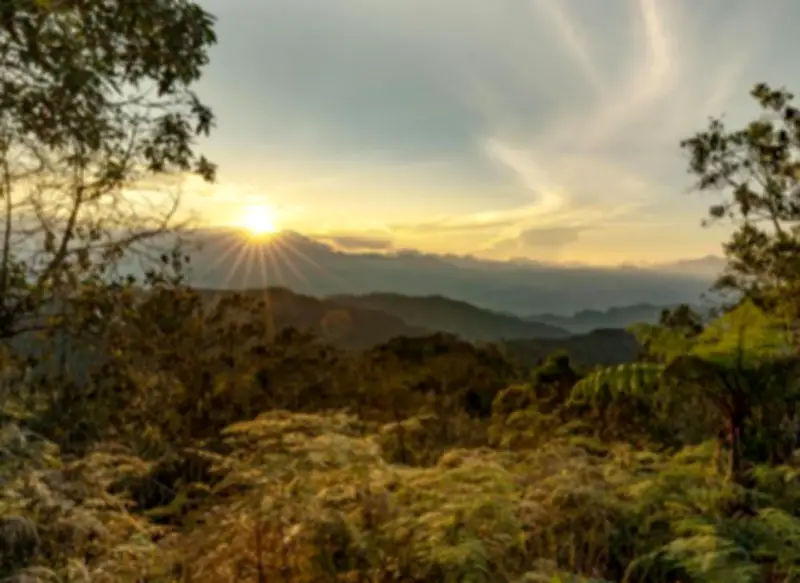 Gobierno decreta Día Cívico de la Paz con la Naturaleza como jornada no laboral