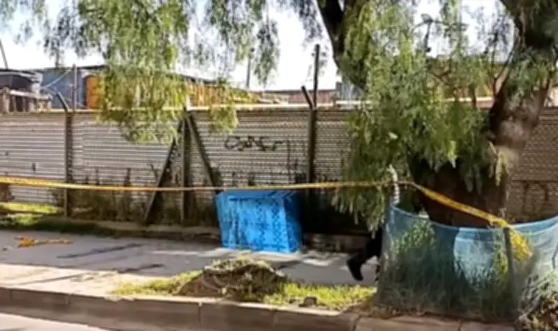 Hallan cuerpo de joven en armario plástico en Bosa: investigan crimen violento