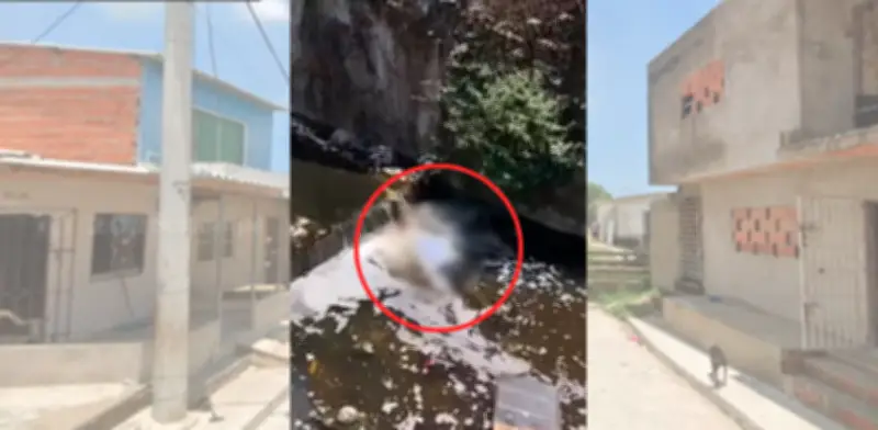 Hallan cuerpo de joven flotando en arroyo de Barranquilla: investigan causas del fallecimiento