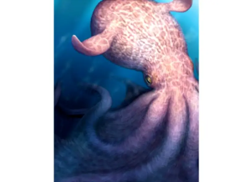 Hallan fósiles de pulpo gigante de 19 metros que cazaba dinosaurios marinos