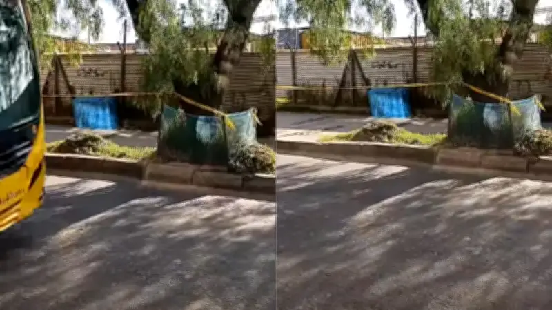 Hallazgo macabro en Bogotá: cuerpo presuntamente desmembrado en armario de calle