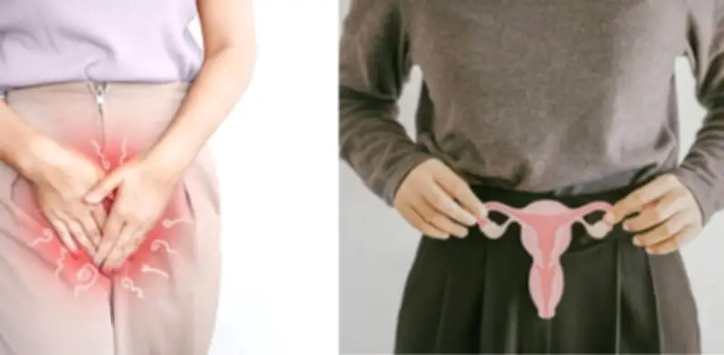 Hábitos diarios que alteran el pH vaginal y elevan riesgo de infecciones según ginecólogos