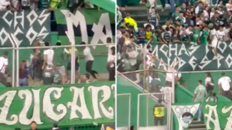 Hinchas del Deportivo Cali protagonizan violenta riña en el clásico ante América