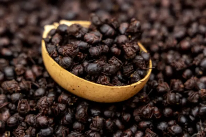 Hormiga culona: tradición santandereana que conquista la alta cocina