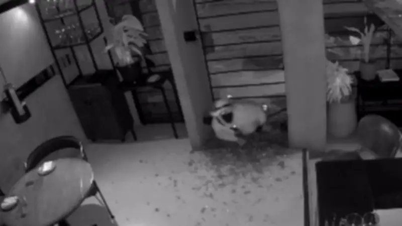 Hurto millonario en restaurante de Chapinero captado por cámaras