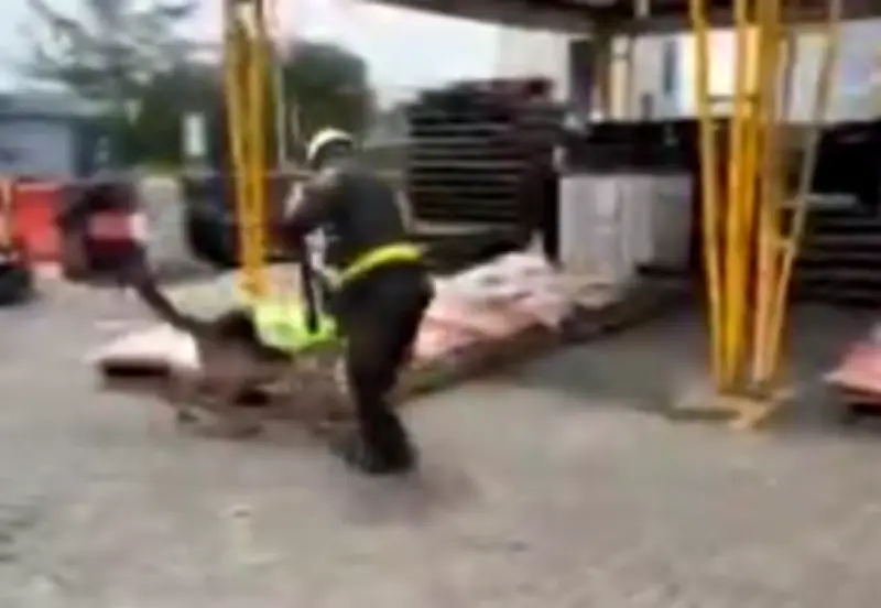 Incautan 577 kilos de cocaína en Cartagena: golpe al Clan del Golfo