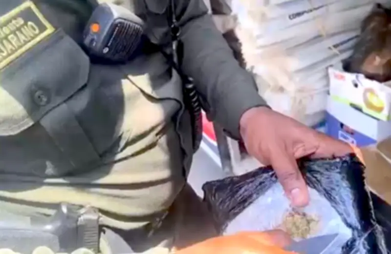 Incautan 6.000 dosis de marihuana ocultas en un parlante en bus intermunicipal