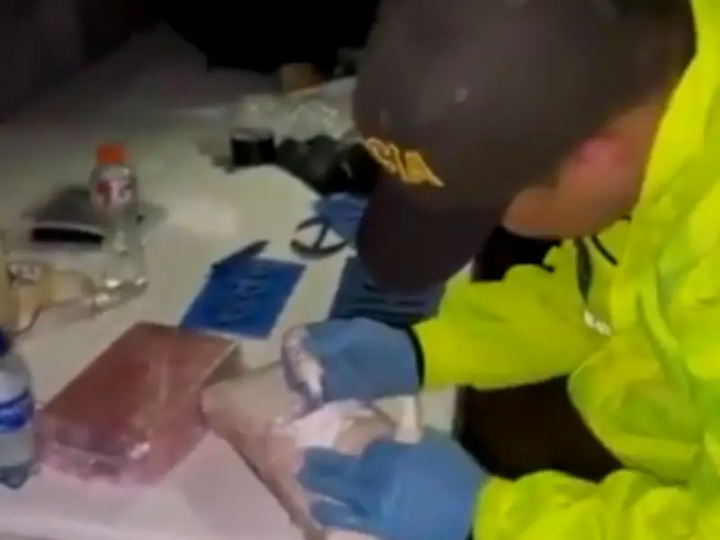 Incautan 900 kilos de cocaína en El Tambo, Cauca, en operativo binacional