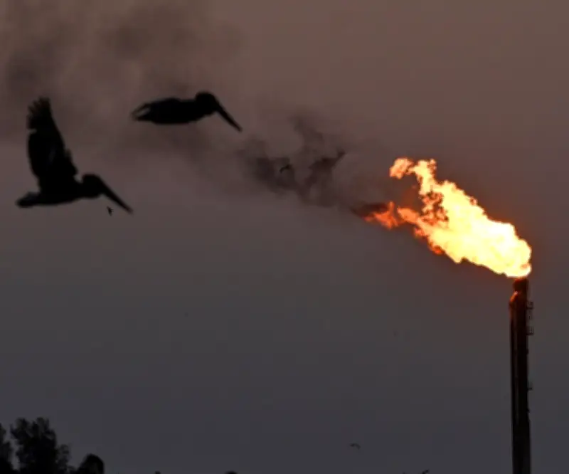 Incendio en refinería Olmeca de Pemex en Tabasco: reportan emergencia sin lesionados
