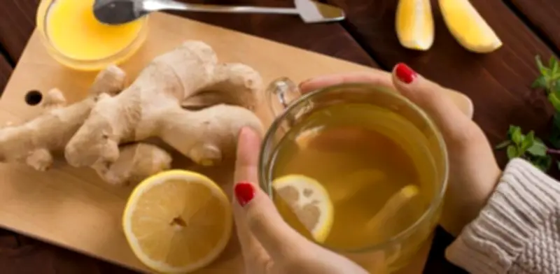 Jengibre en infusiones: aliado natural para la digestión, náuseas y bienestar integral