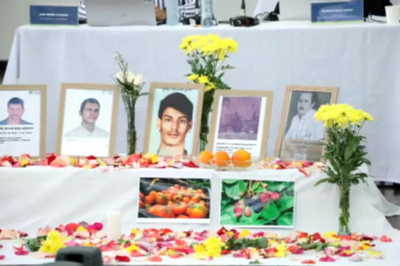 JEP investiga 157 militares por 80 homicidios de civiles vulnerables en Santander