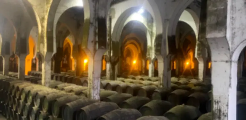 Jerez de la Frontera: el alma andaluza donde vino, flamenco y caballos narran su historia