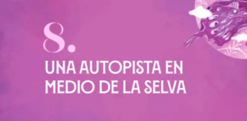 Jineth Bedoya revela autopista secreta de las Farc en la selva colombiana