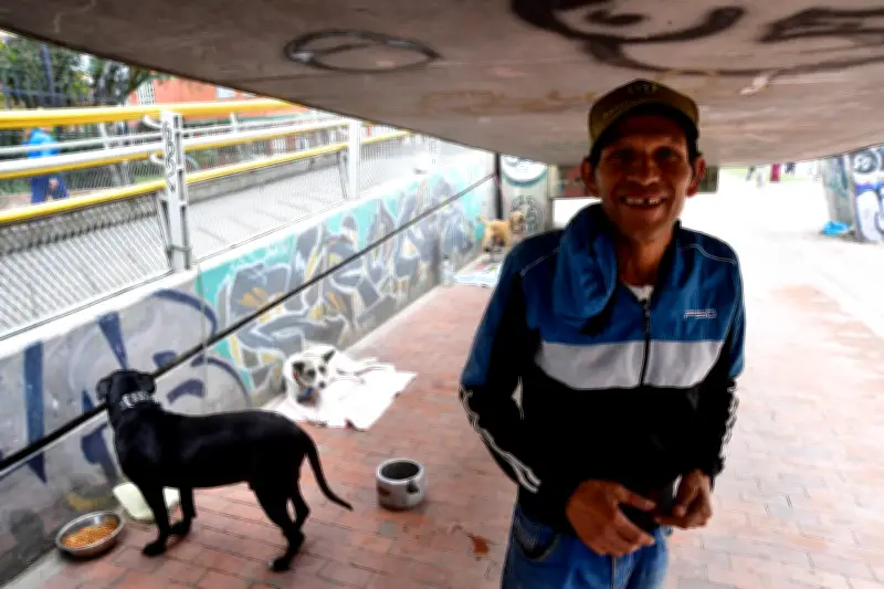 José Francisco García: 60 años viviendo bajo un puente con sus cuatro perros en Bogotá