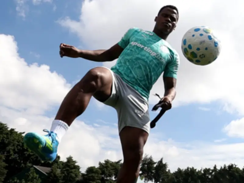 Junior enfrenta a Palmeiras en la Copa Libertadores: un duelo de David contra Goliat