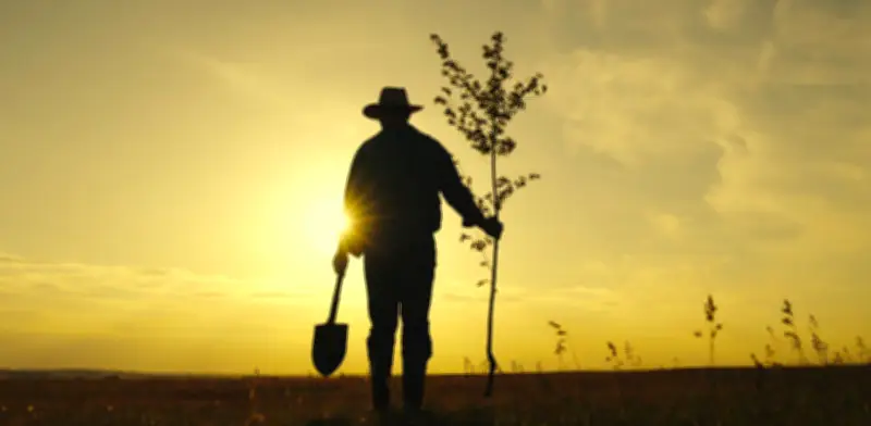 Jurisdicción Agraria: la nueva justicia para el campo colombiano