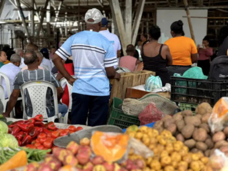 Jóvenes de Puerto Tejada cambian pandillas por cultivos en exitoso programa de resocialización