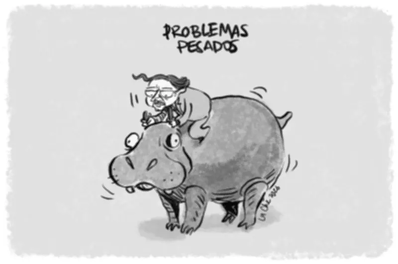 La Che: La caricatura que refleja los problemas más pesados de Colombia