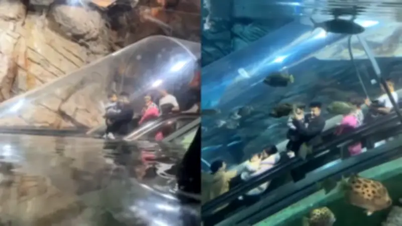 La escalera eléctrica que desciende al fondo del océano: visitantes la describen como de otro mundo