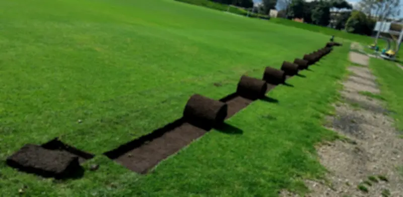 La grama de El Campincito renace en canchas de Bogotá para impulsar el fútbol aficionado