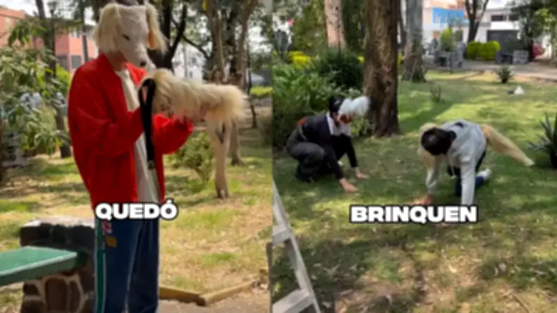 La Rosa de Guadalupe graba capítulo sobre jóvenes therians que se identifican con animales