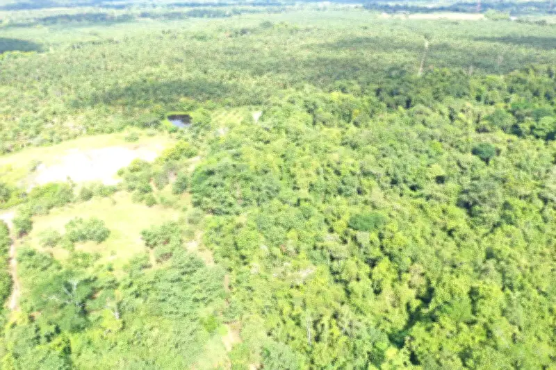 La Tayra: De la tragedia petrolera a un bosque renacido en Barrancabermeja