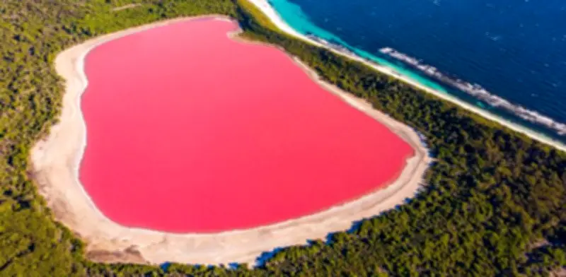 Lago Hillier: el misterioso lago rosa de Australia que debes conocer