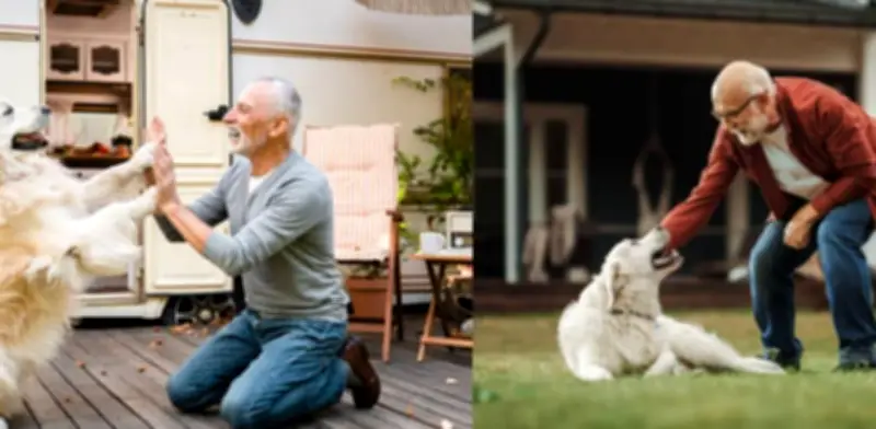 Los beneficios científicos de tener un perro después de los 50 años para la salud integral