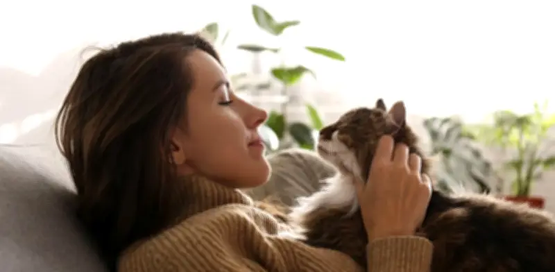 Los gatos eligen a su humano favorito por seguridad, no solo por comida