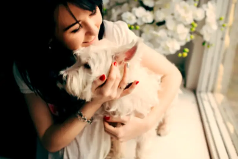 Mascotas como apoyo emocional: beneficios y responsabilidades para una relación saludable