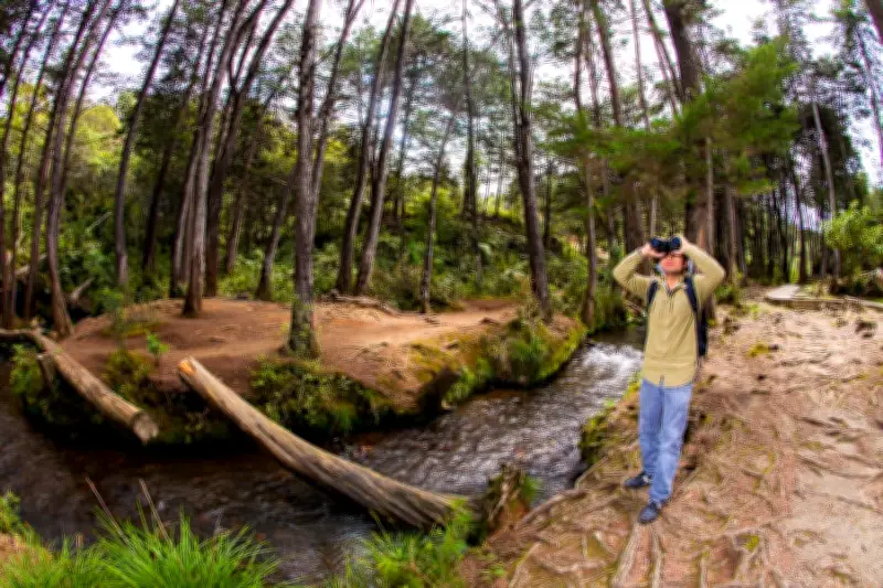 Medellín destaca entre las mejores ciudades verdes del mundo según ranking Time Out 2026