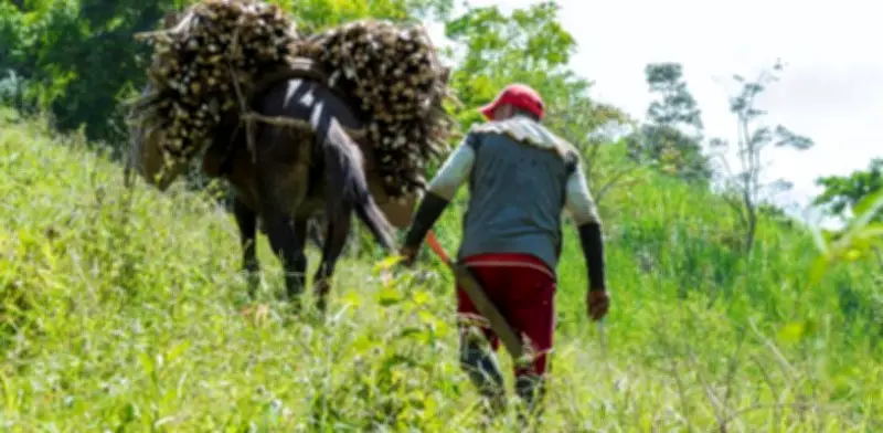 Mibanco Colombia presenta primer informe de riesgos ambientales para clientes