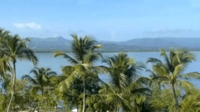 Miches: El Paraíso Dominicano con una de las Mejores Playas del Mundo