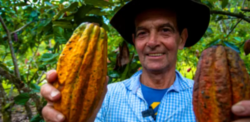 MinAgricultura y Agrosavia: decisiones responsables para el futuro del campo