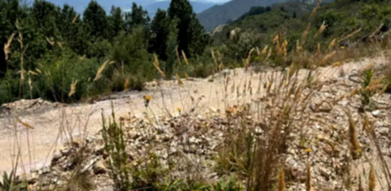 Minería ilegal en páramo de Chingaza: CAR impone medida preventiva
