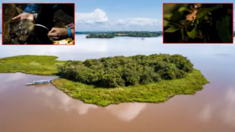 Más de 2.400 especies de fauna y flora ahora protegidas en el Magdalena Medio