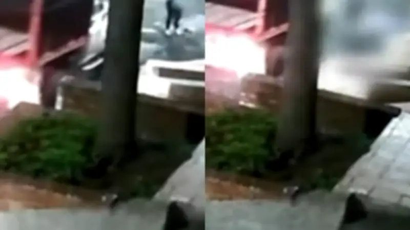 Mujer adulta mayor muere junto a su mascota tras atropello de camión en Medellín