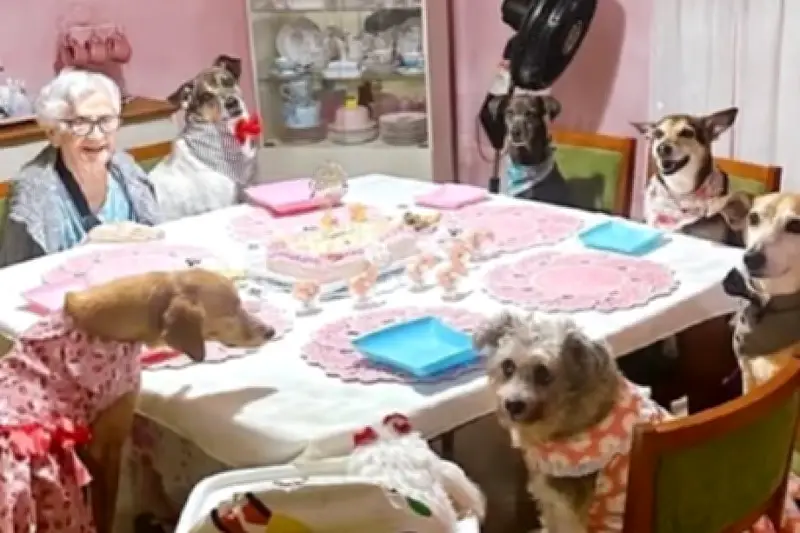Mujer de 91 años celebra su cumpleaños con sus 10 perros y conmueve las redes