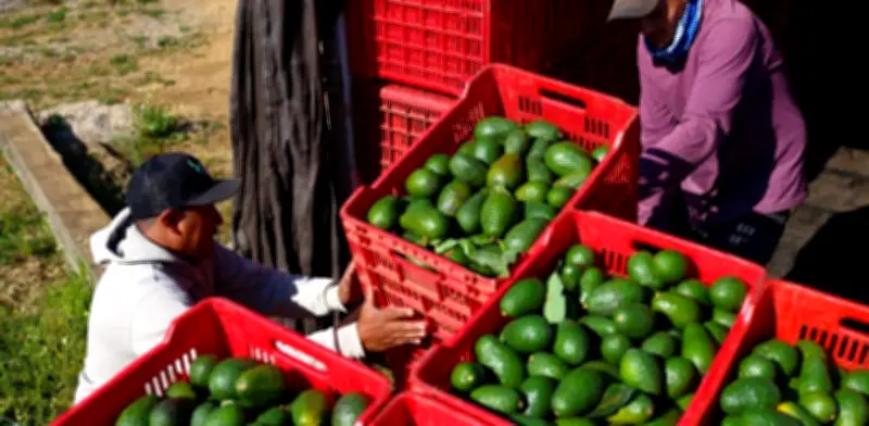 Índice de Precios al Productor registra alza del 3,94% en marzo de 2026 según el Dane