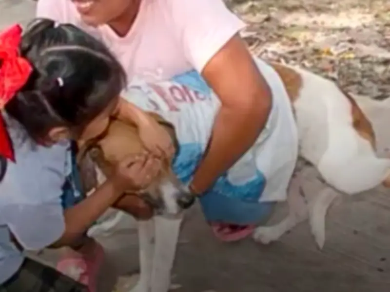 Niña cubre los ojos de su perrito durante vacuna en emotivo gesto de protección