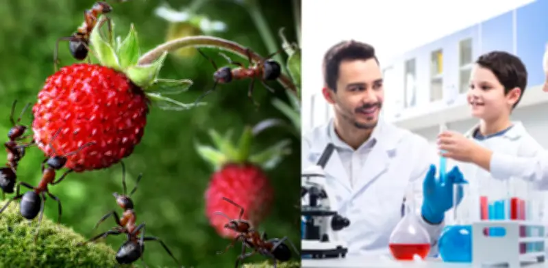 Niño de 8 años descubre interacciones ecológicas complejas que sorprenden a científicos