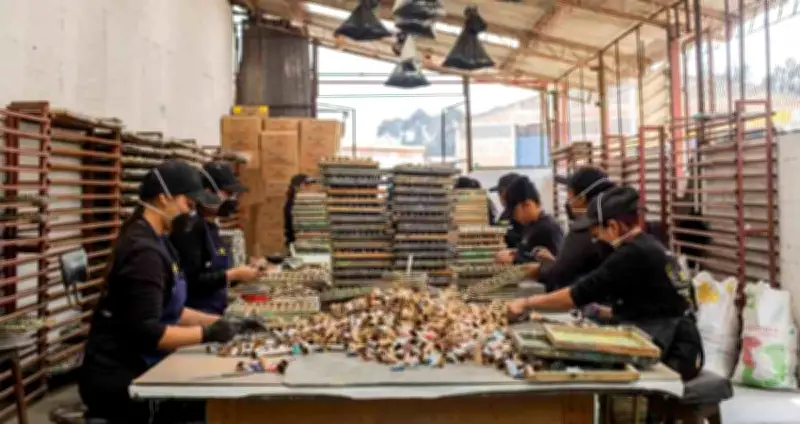 Nueva jornada laboral en Colombia: horas desde 2026 y su impacto