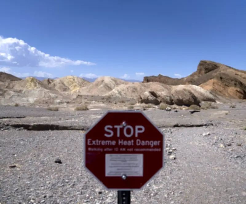 ONU alerta: calor extremo pone en riesgo los sistemas alimentarios mundiales