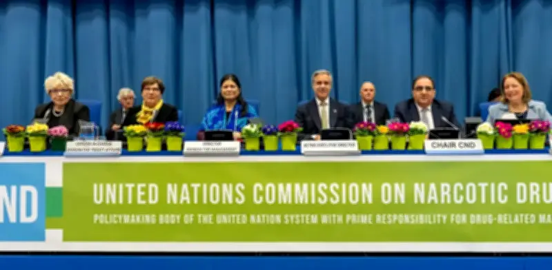 Panel de expertos de la ONU sobre drogas: ¿avance real o nueva prórroga del problema?