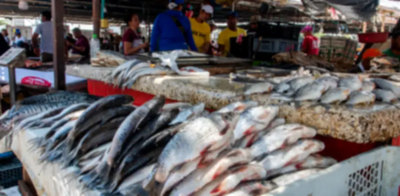 Plaza del Pescado en Barranquilla iniciará renovación tras Semana Santa con inversión de $45 mil millones